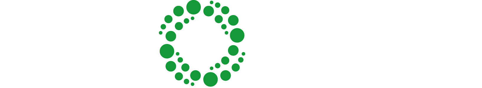 Axis Advies